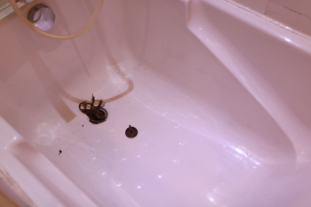 IMG_5780.JPG - 暫存