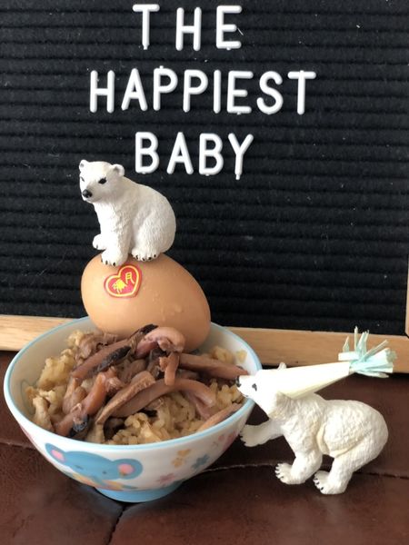 呷七碗 油飯 彌月蛋糕 彌月禮 彌月試吃 彌月試吃 Little Bear's Life