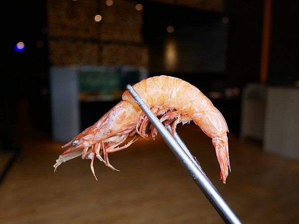 cm20181129___824017a6a14b517c96ad3b5cceb