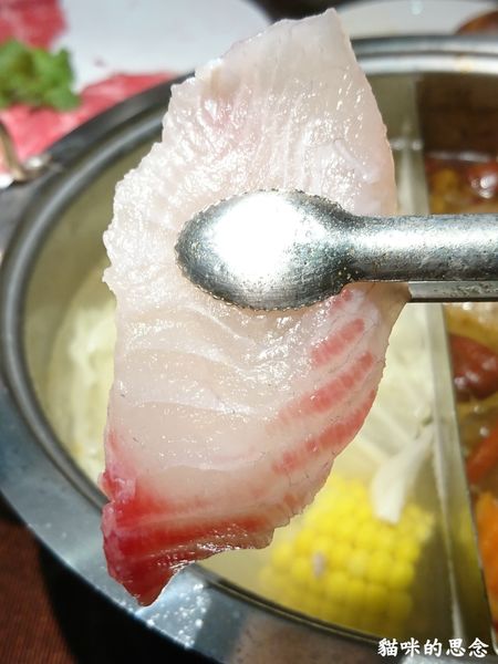 舞古賀鍋物專門店台灣鯛.jpg