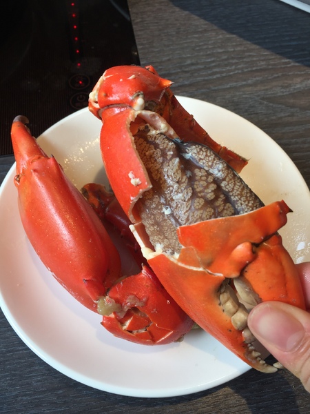 舞古賀鍋物專門店：[美食]舞古賀鍋物專門店-鄰近高雄鼓山巨蛋站，海鮮火鍋&amp;螃蟹和牛，超高CP值得再訪!