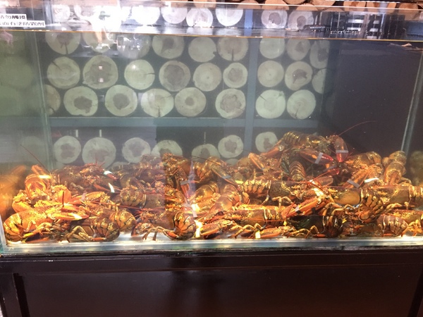 舞古賀鍋物專門店：[美食]舞古賀鍋物專門店-鄰近高雄鼓山巨蛋站，海鮮火鍋&amp;螃蟹和牛，超高CP值得再訪!