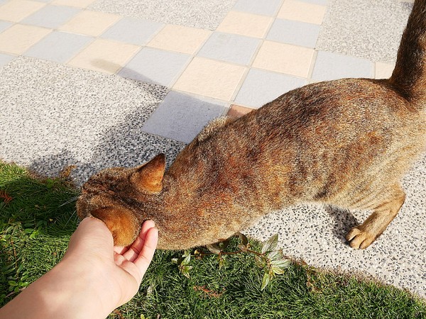 cm20181229___89f0721c5d6339fb4bcbb8fcc72