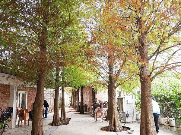 cm20181229___3b8298bb323b6a93e5e1dfe4eef