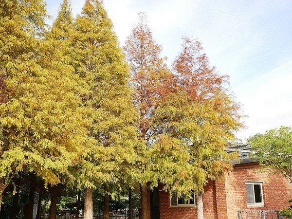 cm20181229___e424535a292cf8b62905f7129d7