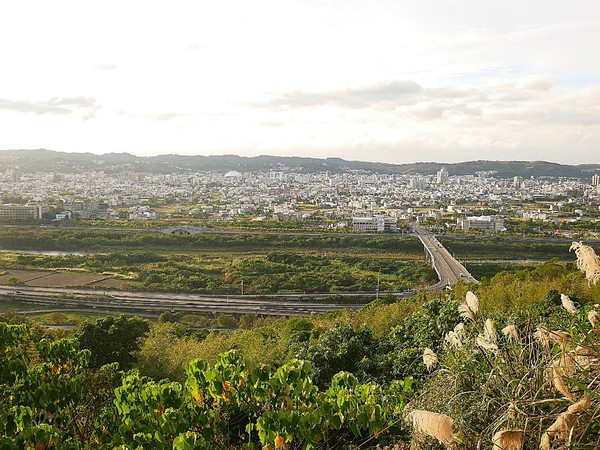 cm20181229___6ce3d51a14ee275253728cb6403