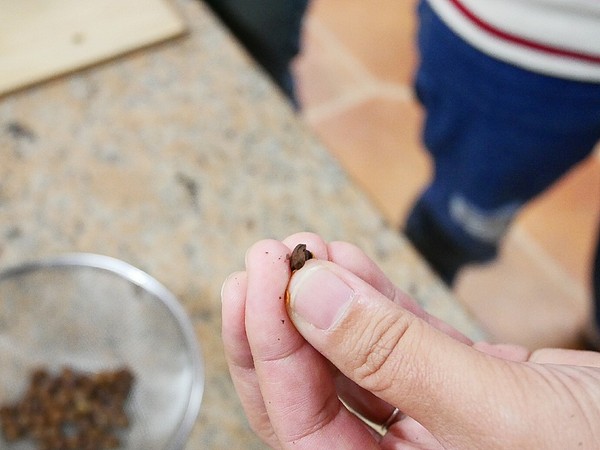 cm20181229___abcd7002a38d354032e62b8594f