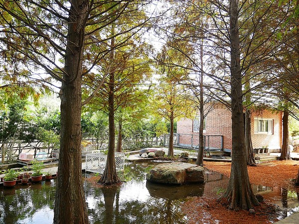 cm20181229___4fdbf833299e8601610120ba439