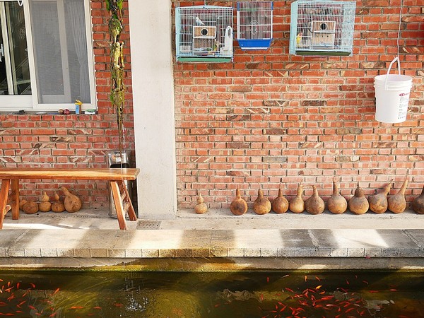 cm20181229___3891c7f83b85a7a8380f494511a