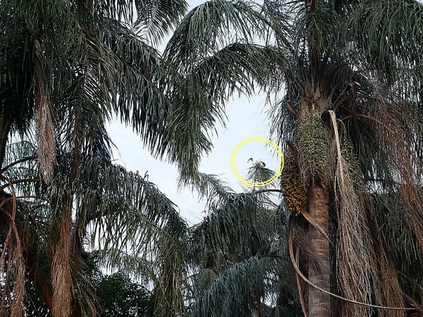 cm20181229___77c1804fbf2656919397b00d6f2