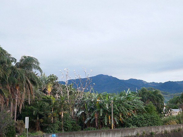 cm20181229___0784d919906d0f892416325be2f