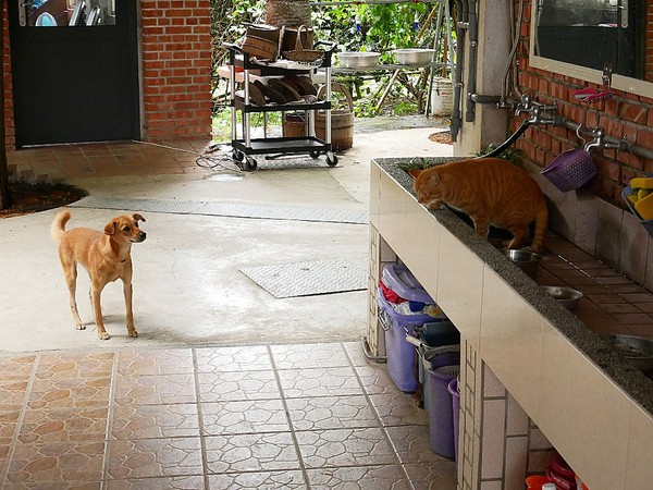 cm20181229___69b82f29800a3574ac63e939a75