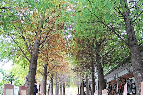 cm20181227___8811567d68696478dde10e740f7