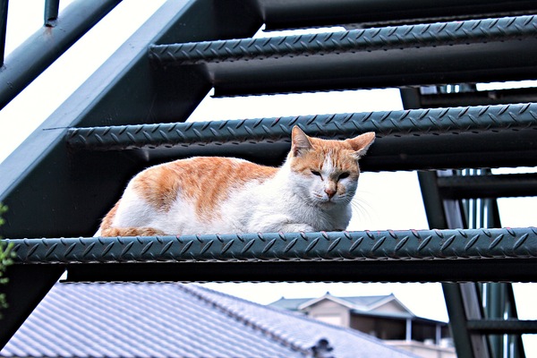 cm20181227___0a5bca40729250c0fd70d27b22c