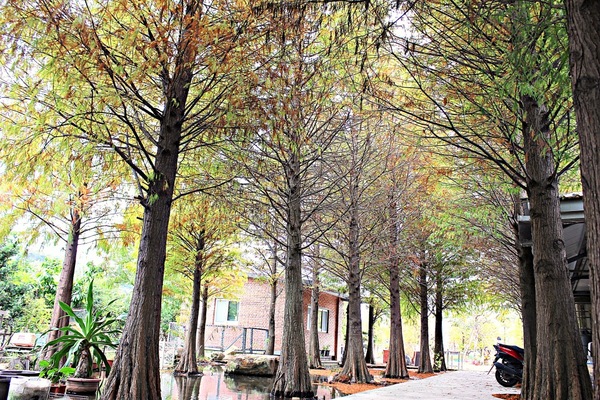 cm20181227___e792f62b973510ef52afdf2b421