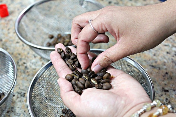 cm20181227___b4fd207624b0a6837a16844b9dc