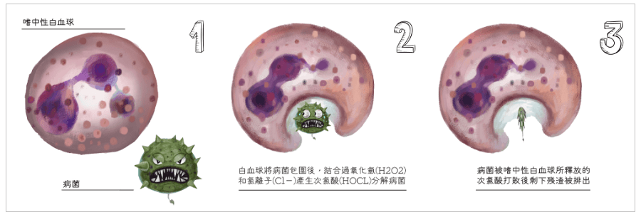 菌立解的抗菌原理是什麼？