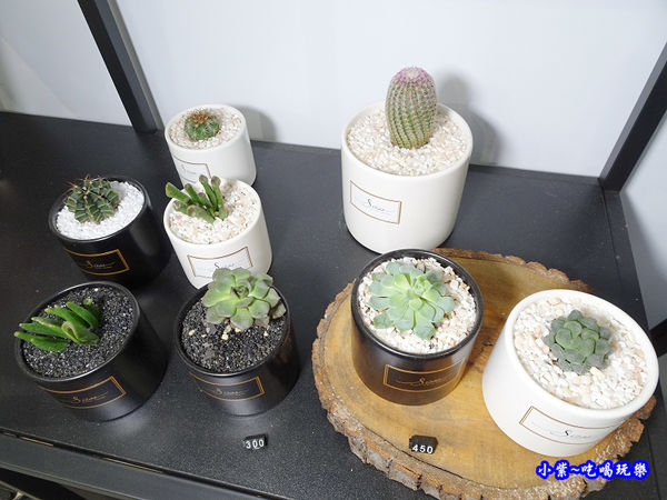 多肉盆栽花禮-敘思花藝勤美店 (2).jpg