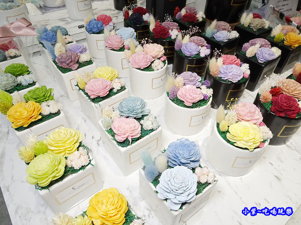 香氛小盆花-敘思花藝勤美店 (1).jpg