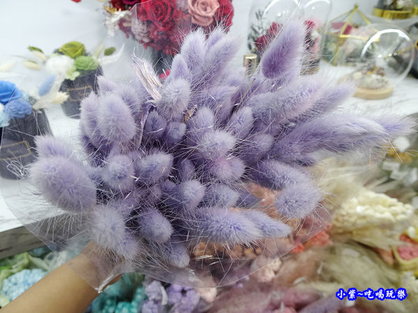 敘思花藝勤美店-永生乾燥花材 (5).jpg