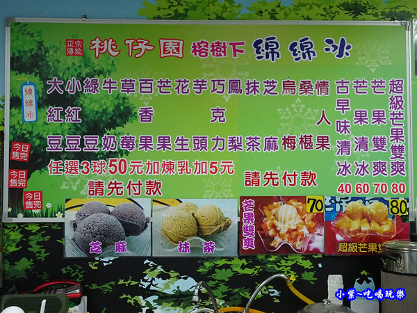 榕樹下綿綿冰-桃園店  (24).jpg
