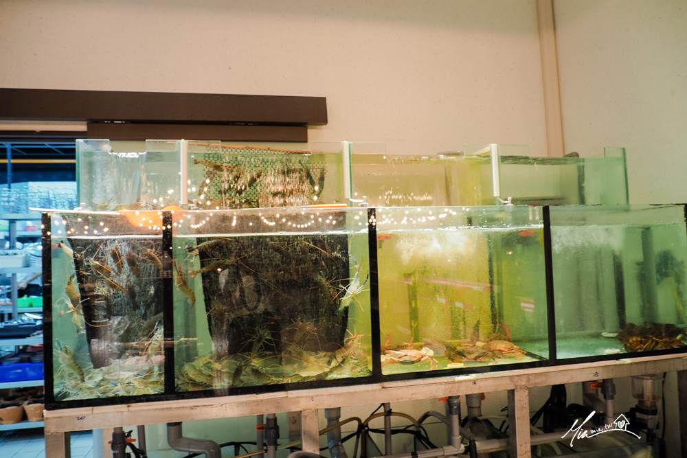 湄南河泰式庭園餐廳 湄南河 泰國料理 異國料理 尾牙春酒 高級餐酒館 瓦城 平價泰式料理 台中泰式餐廳 好吃泰國料理推薦 家庭聚會 包廂 包場 年夜飯 十年老店 妙妙屋 妙麻 生日聚餐 酒會 泰北料理 道地泰式料理 湄南河 台中美食 台中餐廳 豪華氣派餐廳 隱密餐廳 口袋名單