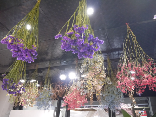 cm20190115___6f5e9ddf5b6054cf7974a31ce21