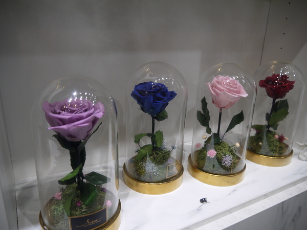 cm20190115___9259d3b55968691901cfa3632d8