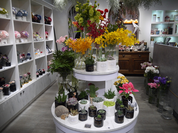 cm20190116___d643a769e1971577d857d22f2c1