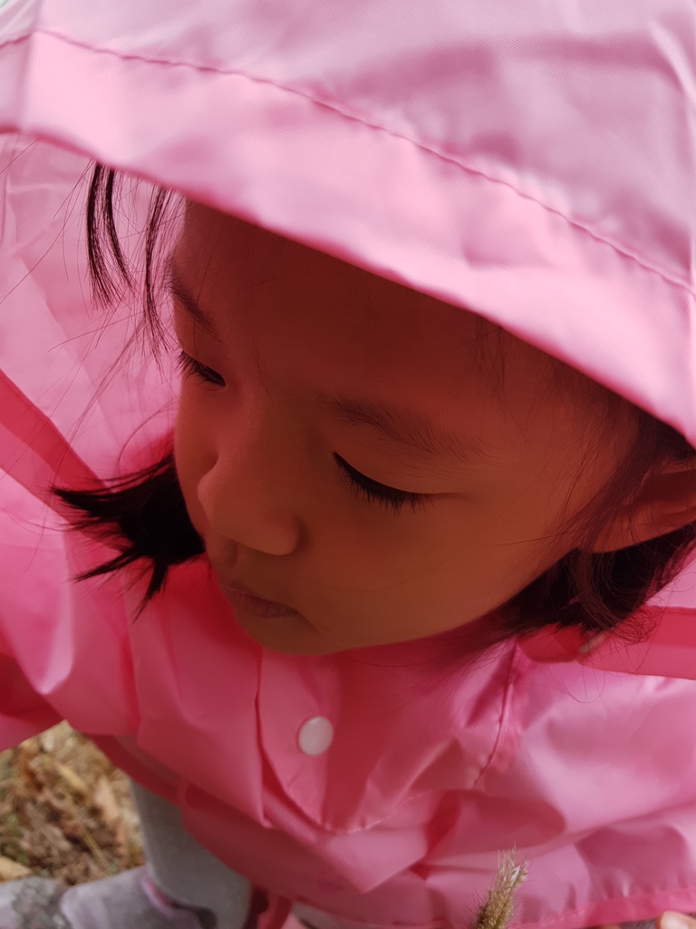 台灣雨之情動動斗篷童雨衣 (24).jpg