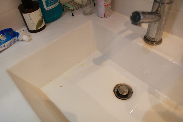 IMG_9582.JPG - 暫存