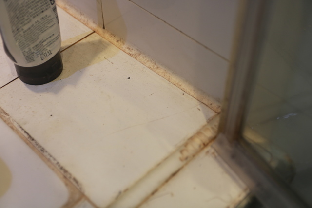 IMG_9589.JPG - 暫存