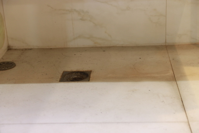 IMG_9606.JPG - 暫存