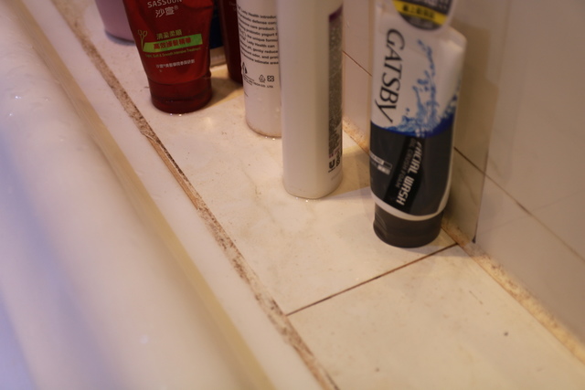 IMG_9591.JPG - 暫存