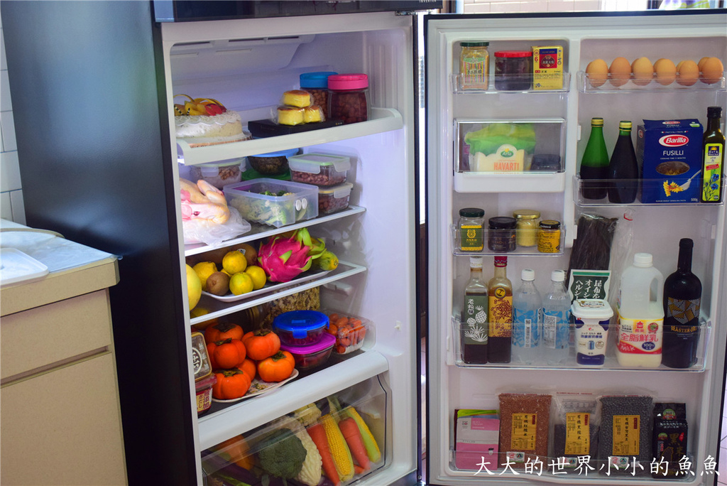 日本東芝Toshiba  雙門冰箱 54