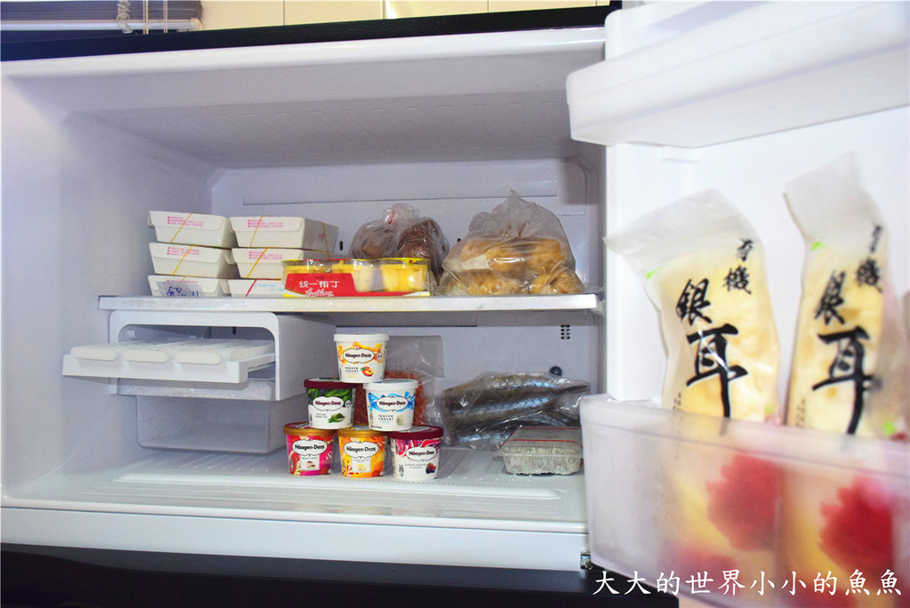 日本東芝Toshiba  雙門冰箱 69