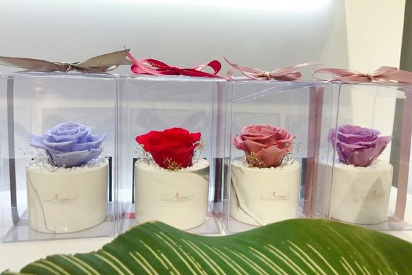 20181230 #1_181230_0029.jpg