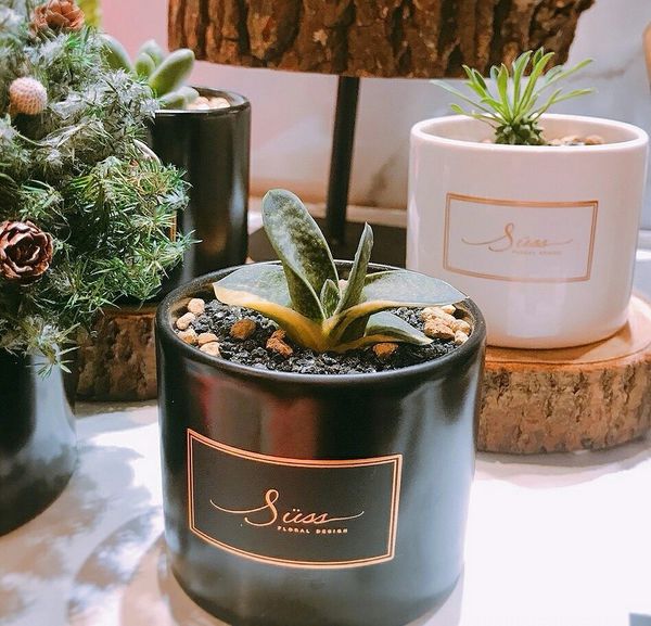 20181230 #1_181230_0039.jpg