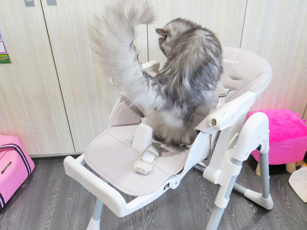 TOSBY幼兒成長餐椅(兩光媽咪柳幼幼) (35)