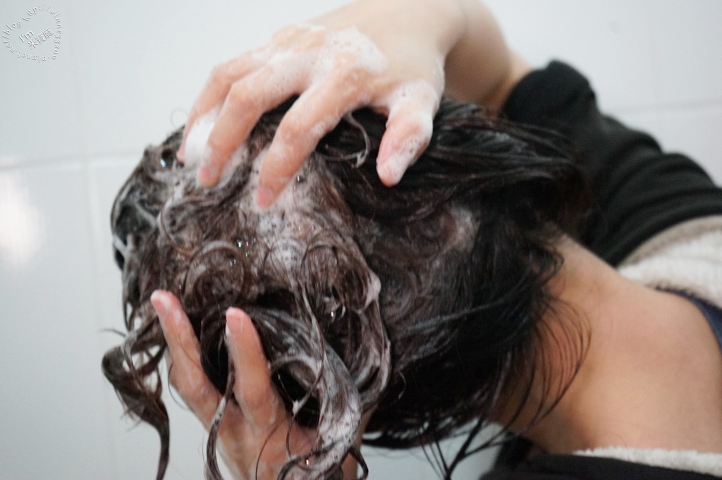 北歐極品 maria nila 洗髮乳健髮素_22