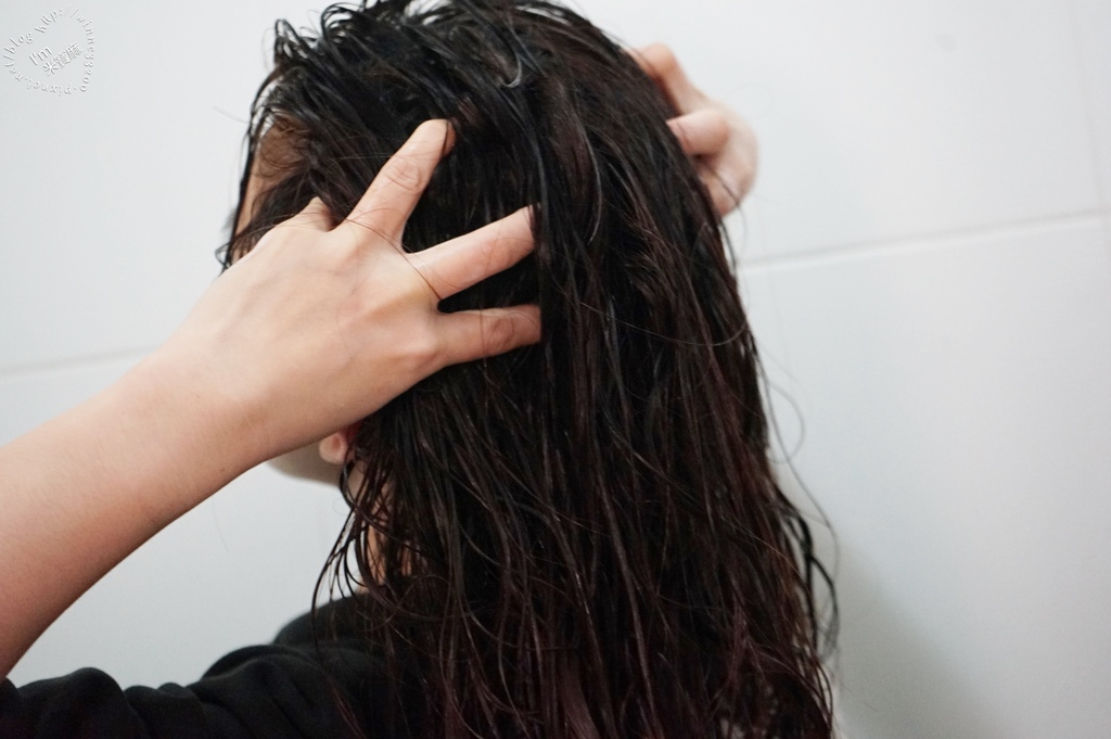 北歐極品 maria nila 洗髮乳健髮素_25