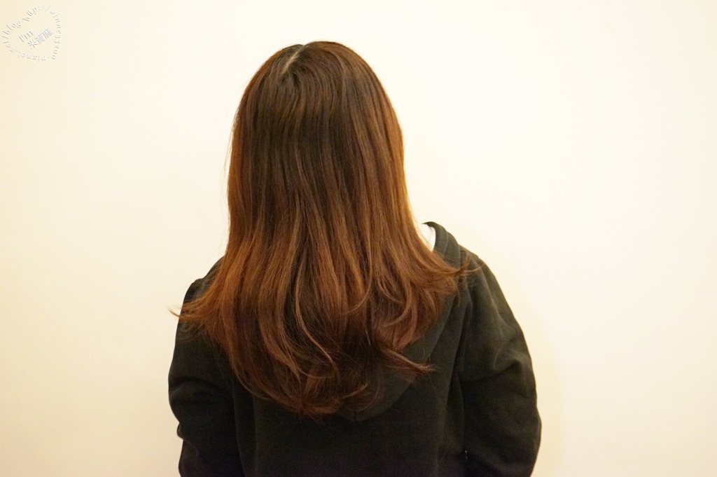 北歐極品 maria nila 洗髮乳健髮素_19