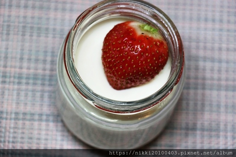 Landy優格機 (20).JPG