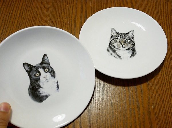 cm20190208___3e9dfffd5112f1205197854c9ba