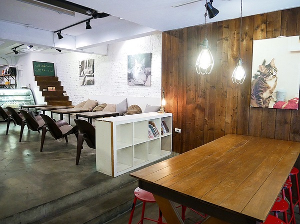 cm20190208___f2363162cac9eb4828a11df4c7a