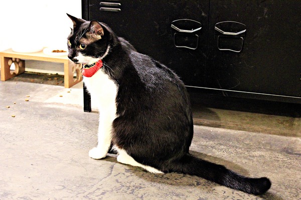 cm20190124___96fc79b82161213358998a81158