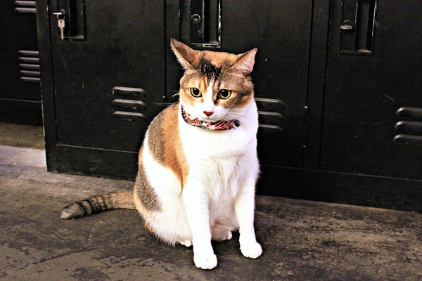 cm20190124___9ffa1f6ce8aa598bfc745dceefe