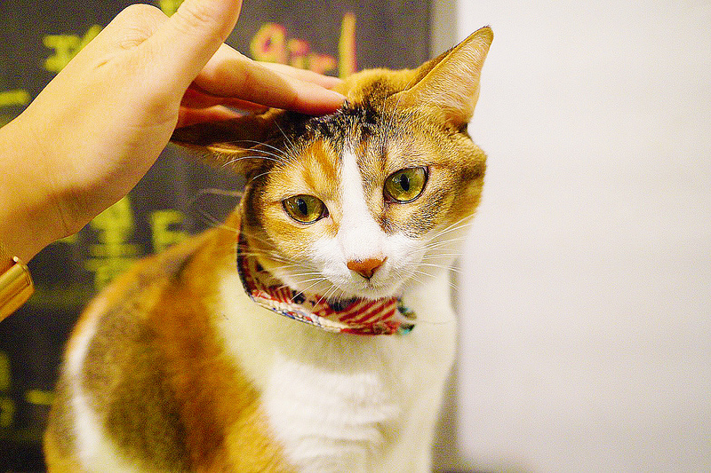 20190124_190208_0003