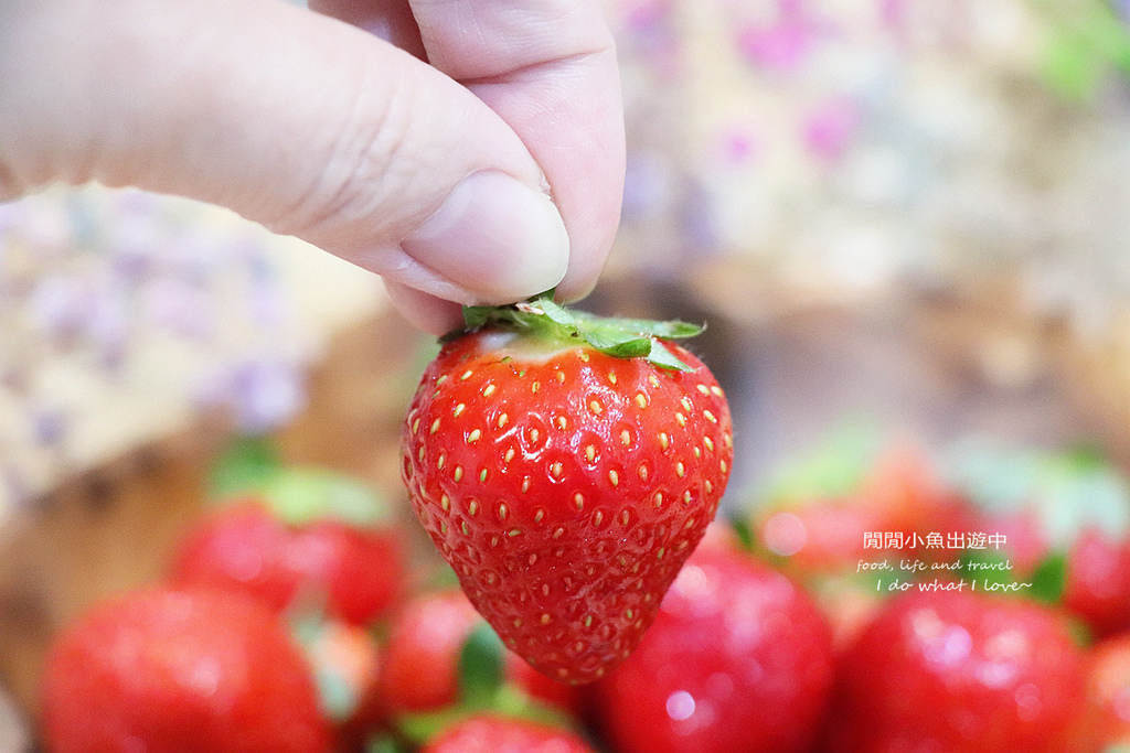 有機草莓吉菓ichico草莓禮盒