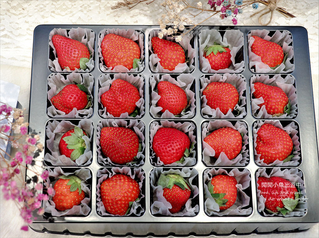有機草莓吉菓ichico草莓禮盒
